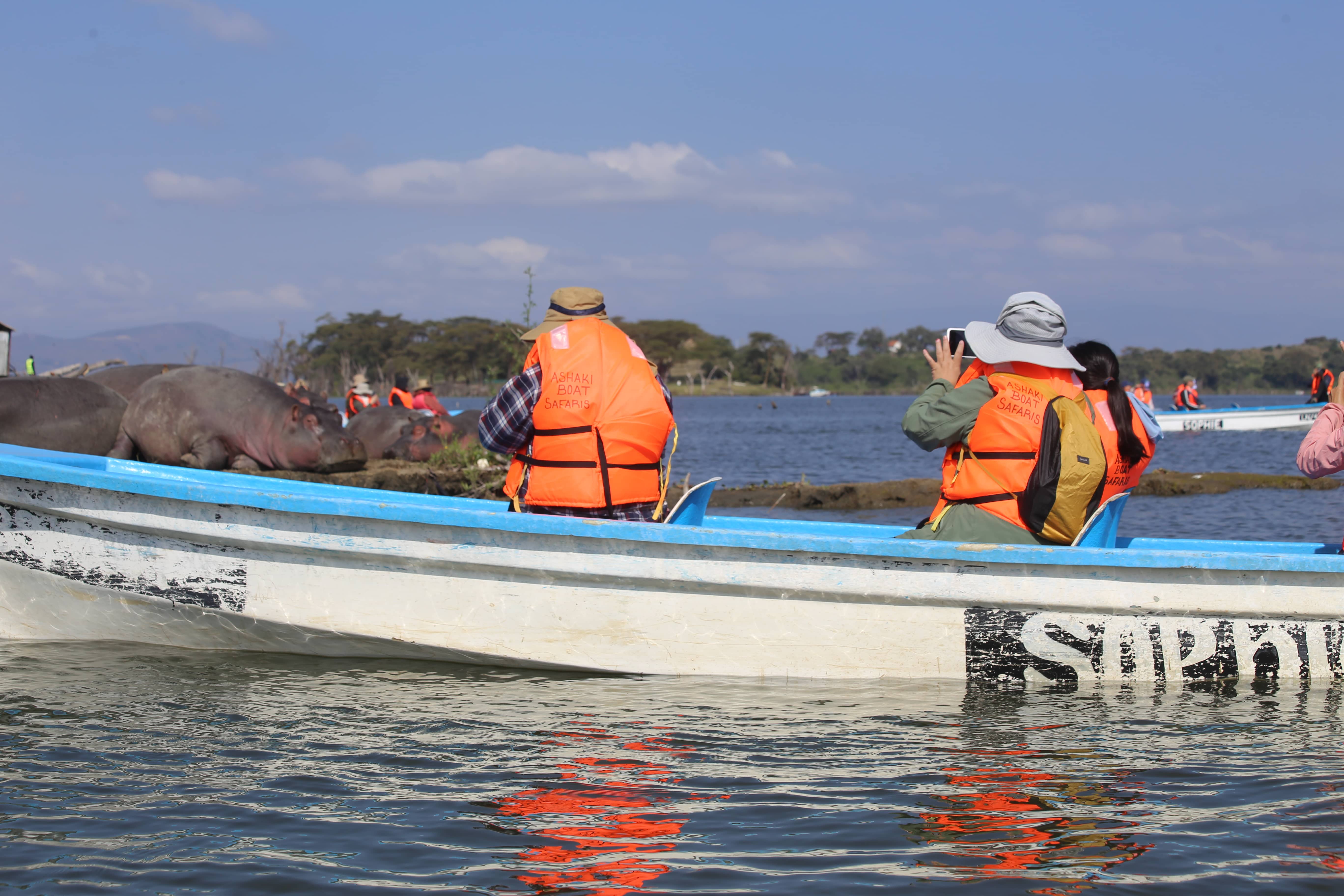 Planning a family safari