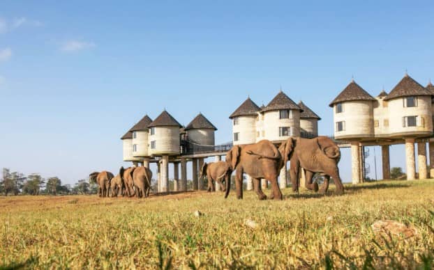 Salt Lick Safari Lodge