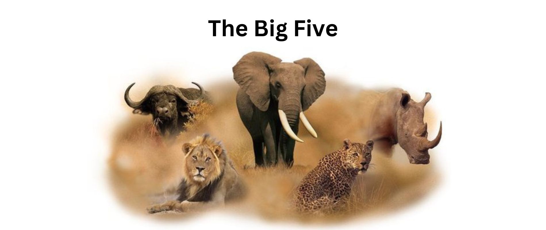 The big five